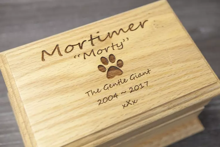 Pet caskets clearance for ashes